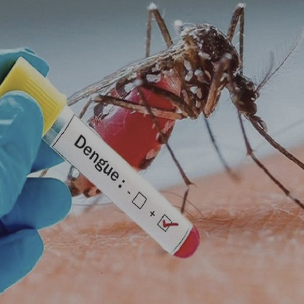 Dengue  