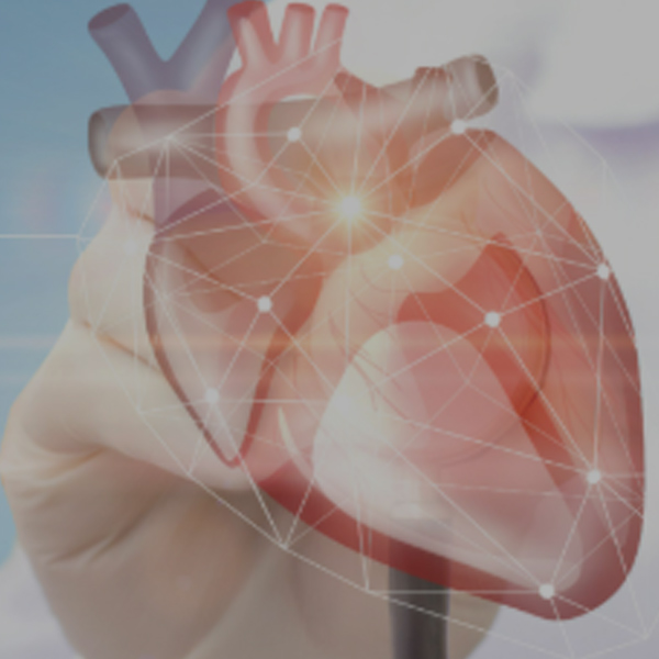 Heart Attack Solutions